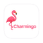 Charmingo flamingo